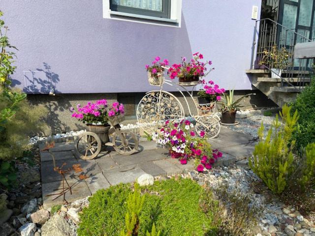 Ferienwohnung Haus Lila Welle Nordhalben Exterior foto
